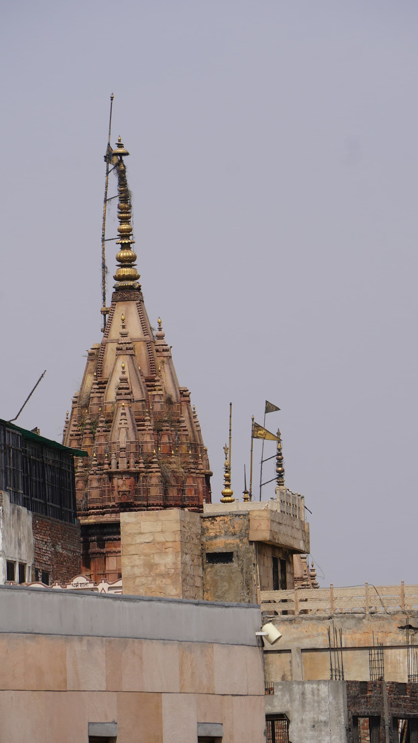 Kashi Vishwanath Temple Darshan Guide: Corridor, Rules and Tips